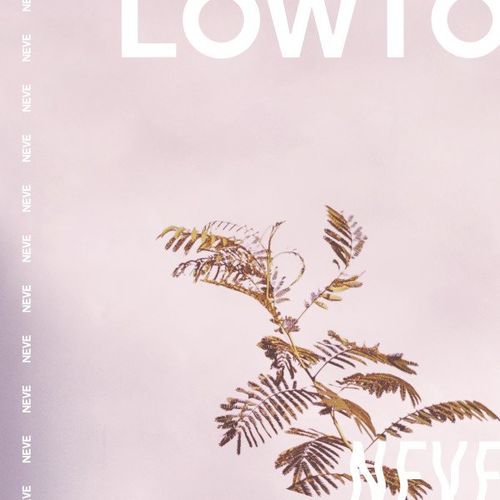 Lowtopic - Neve (2021)