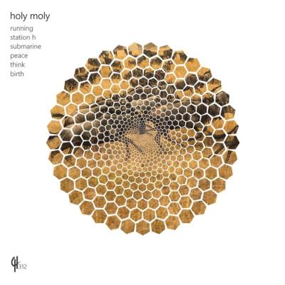 VA - Holy Moly - Running (2022) (MP3)