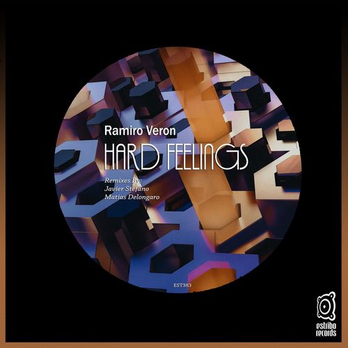 VA - Ramiro Veron - Hard Feelings (2022) (MP3)