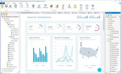 Nucleon BI Studio 12.0.0.10122
