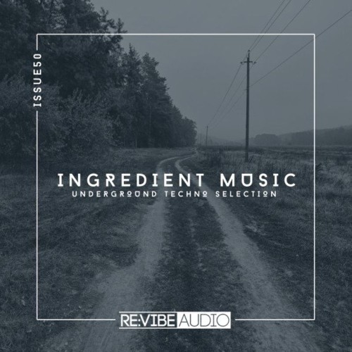 VA - Ingredient Music, Vol. 50 (2022) (MP3)