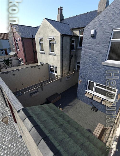 Northern Terrace Street Rear Yards and Alleyway