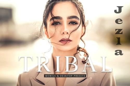 Tribal Pro Lightroom Presets - 6837020