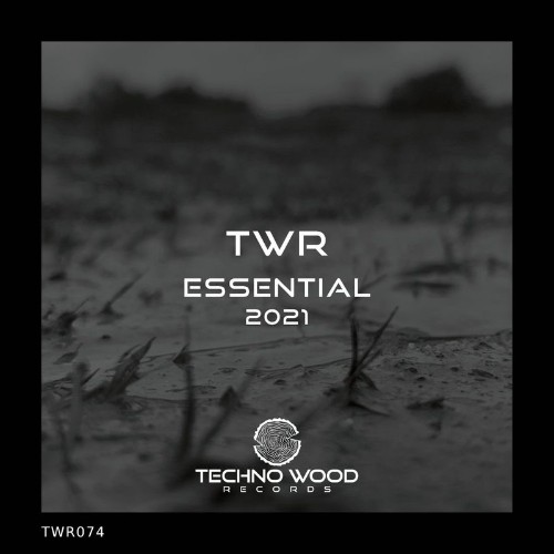 VA - Techno Wood Records - ESSENTIAL 2021 (2022) (MP3)