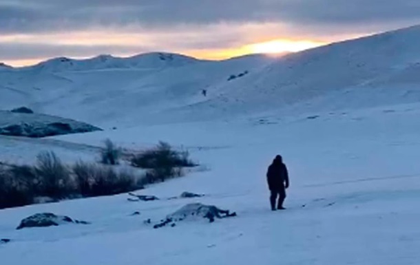 На Алтае неизвестные расстреляли табун лошадей