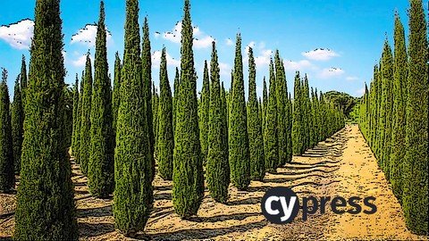 Udemy - Master Cypress 9 in 15 Minutes a Day