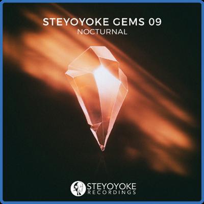 VA   Steyoyoke Gems Nocturnal 09 (2020) MP3