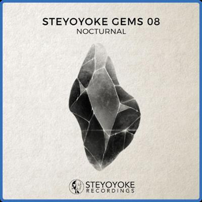 VA   Steyoyoke Gems Nocturnal 08 (2019) MP3