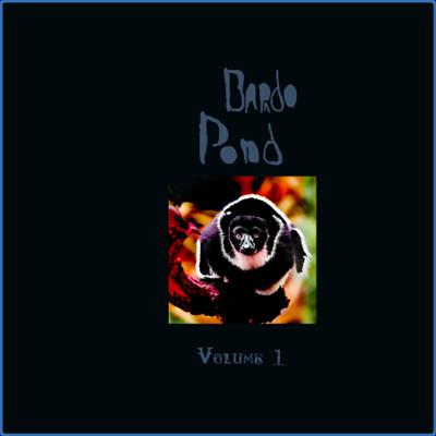 (2021) Bardo Pond   Volume 1 [FLAC]