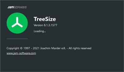 TreeSize Professional 8.2.2.1626 (x64) Multilingual + Portable