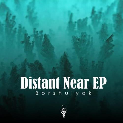 VA - Borshulyak - Distant Near (2022) (MP3)