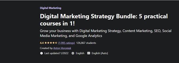 Digital Marketing Strategy Bundle - 5 Practical Courses in 1