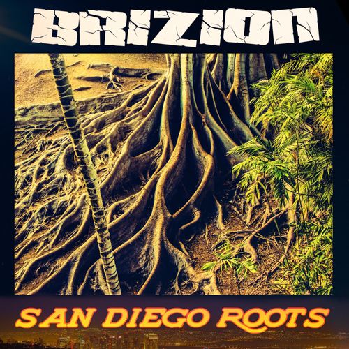 VA - Brizion - San Diego Roots (2022) (MP3)