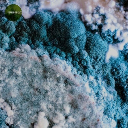 VA - Foaming Beatz (2022) (MP3)