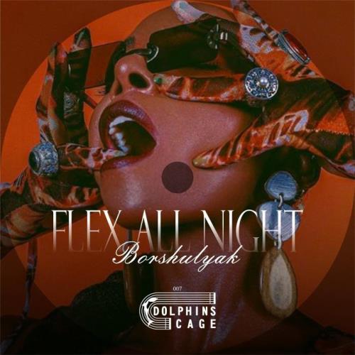VA - Borshulyak - Flex All Night (2021) (MP3)