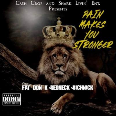 VA - Fat Don & Redneck RichNick - Pain Makes You Stronger (2021) (MP3)