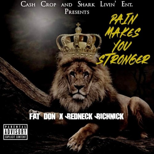 VA - Fat Don & Redneck RichNick - Pain Makes You Stronger (2021) (MP3)