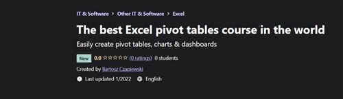 Udemy - The Best Excel Pivot Tables Course in The World