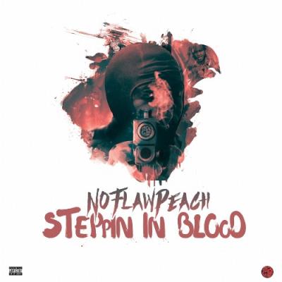 VA - NOFLAW Peach - Steppin In Blood (2021) (MP3)