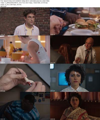 Search Party 2016 S05E05 1080p HEVC x265 