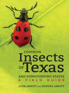 Common Insects of Texas and Surrounding States A Field Guide