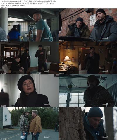 FBI Most Wanted S03E11 720p HEVC x265 