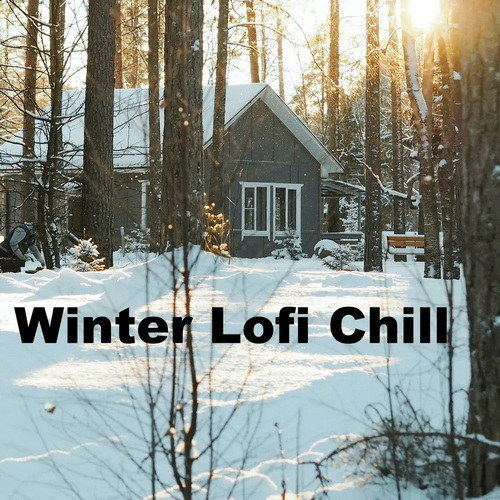 Winter Lofi Chill (2022) AAC