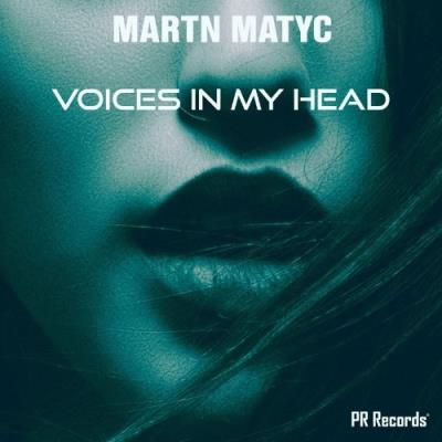 VA - Martn Matyc - Voices In My Head (2022) (MP3)