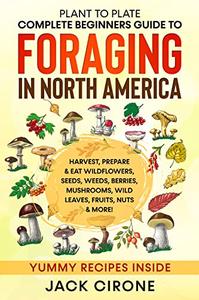 Plant to Plate - Complete Beginners Guide to Foraging in North America Harvest, Prepare
