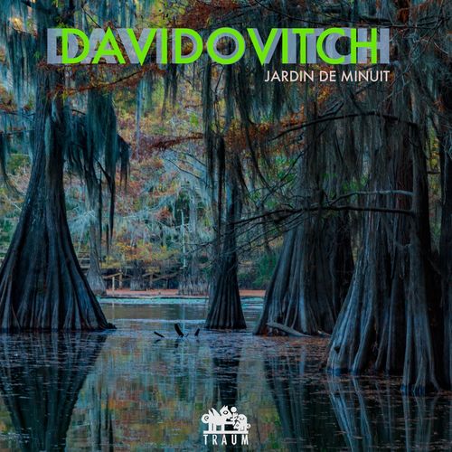 VA - Davidovitch - Jardin De Minuit (2022) (MP3)