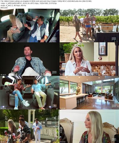 Million Dollar Listing Los Angeles S13E00 Josh and Josh Sour Grapes 1080p HEVC x265 