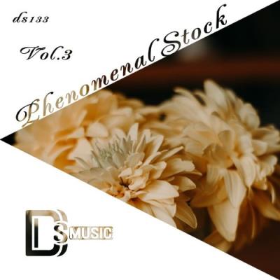 VA - Phenomenal Stock, Vol. 3 (2022) (MP3)