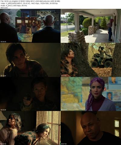 NCIS Los Angeles S13E08 1080p HEVC x265 