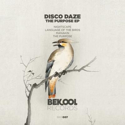 VA - Disco Daze - The Purpose (2022) (MP3)
