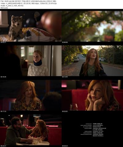 Wolf Like Me S01E01 720p HEVC x265 