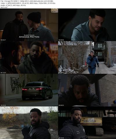 Chicago PD S09E11 1080p HEVC x265 