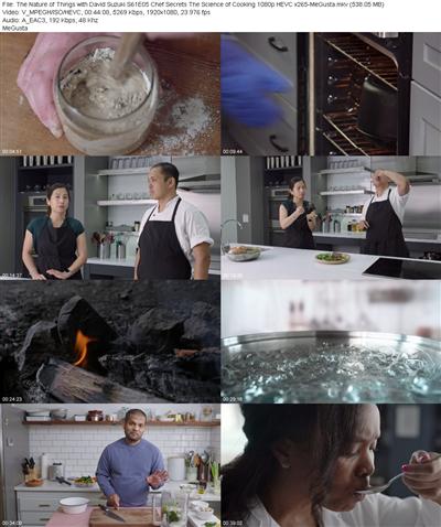 The Nature of Things with David Suzuki S61E05 Chef Secrets The Science of Cooking 1080p HEVC x265...