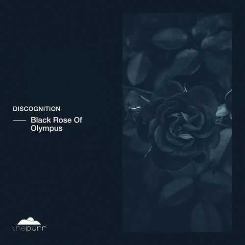 VA - Discognition - Black Rose Of Olympus (2022) (MP3)
