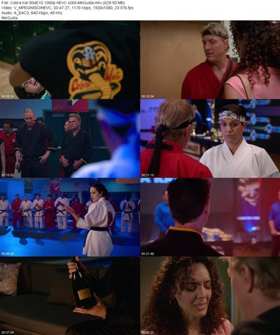 Cobra Kai S04E10 1080p HEVC x265 