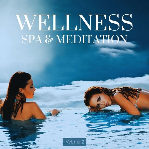 VA - Wellness, Spa & Meditation, Vol. 2 (2022) (MP3)