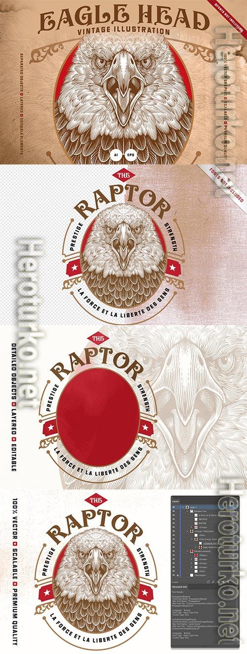 Eagle Head Illustration Eagle Head Illustration