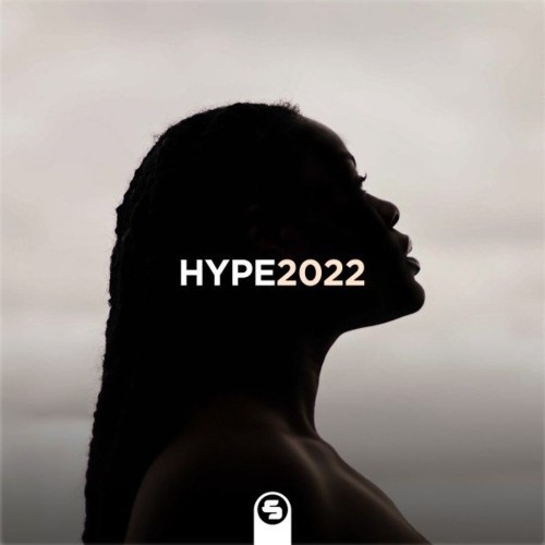 VA - Sirup Hype2022 (2022) (MP3)