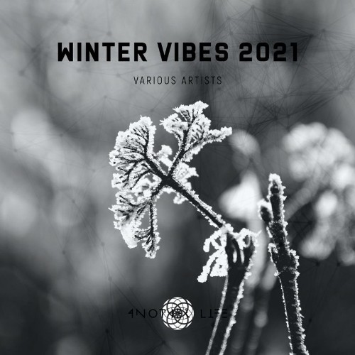 VA - Winter Vibes 2021 (2022) (MP3)