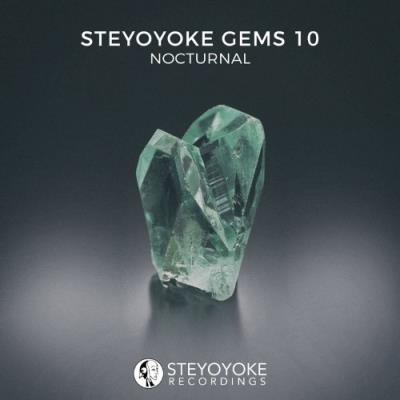 VA - Steyoyoke Gems Nocturnal 10 (2022) (MP3)