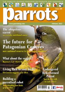 Parrots - February 2022