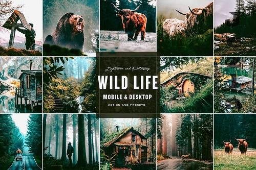 Wild Life - Photoshop Actions & Lightroom Presets