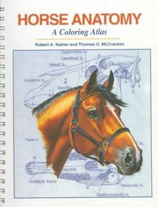 Horse Anatomy  A Coloring Atlas