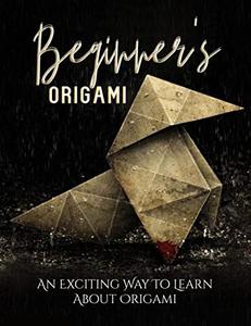 Beginner's Origami An Exciting Way To Learn About Origami