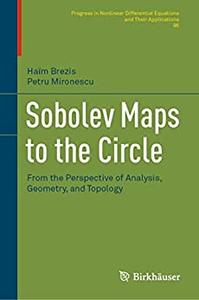 Sobolev Maps to the Circle From the Perspective of Analysis, Geometry, and Topology