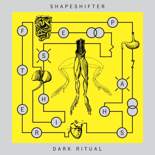 VA - Shapeshifter - Dark Ritual (2022) (MP3)